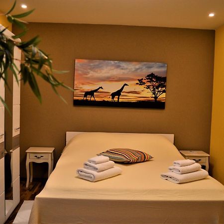 Studio Apartments Luka Biograd - 벤코바츠 객실 사진
