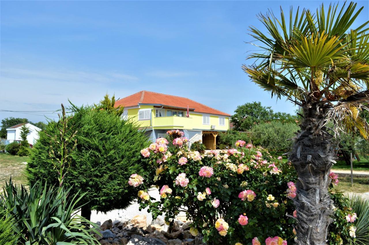 Studio Apartments Luka Biograd - 벤코바츠 외부 사진